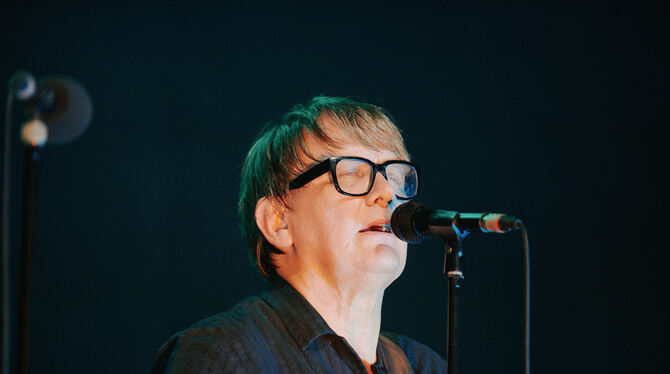 Element of Crime Sven Regener, Frontmann von Element of Crime.