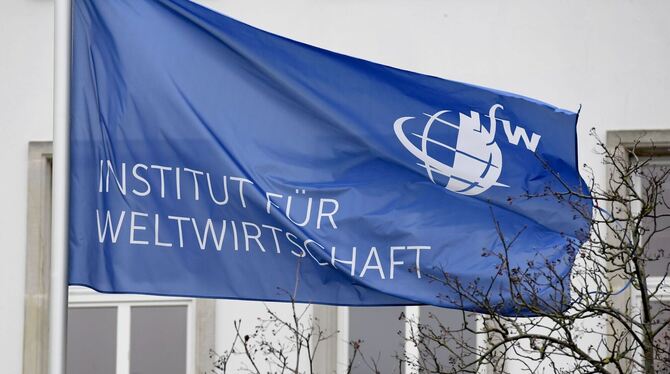 Wehende Institutsflagge