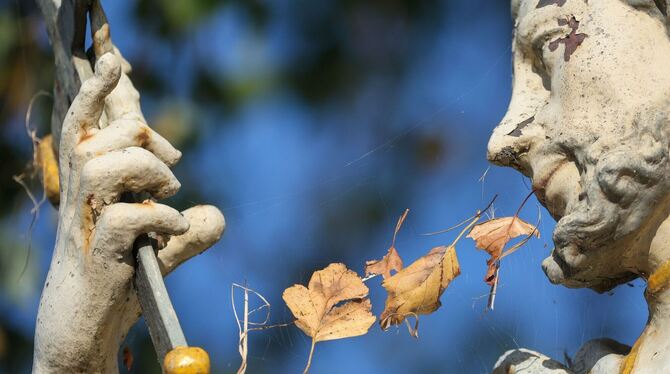 Wetter in Baden-Württemberg Wetter in Baden-Württemberg