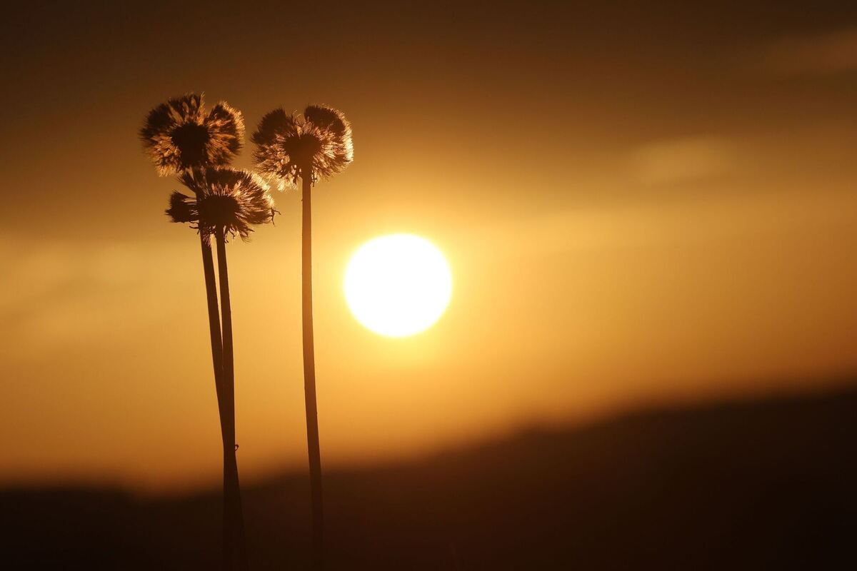 Wetter in Baden-Württemberg