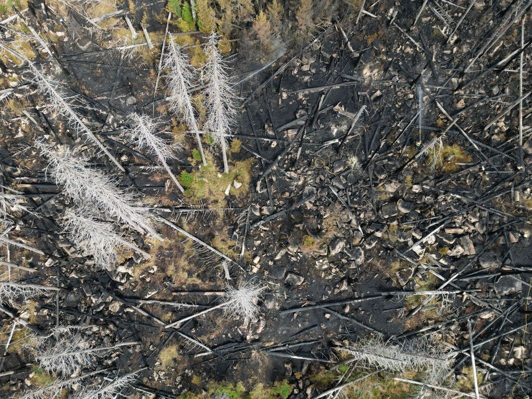 Großbrand am Brocken im Harz
