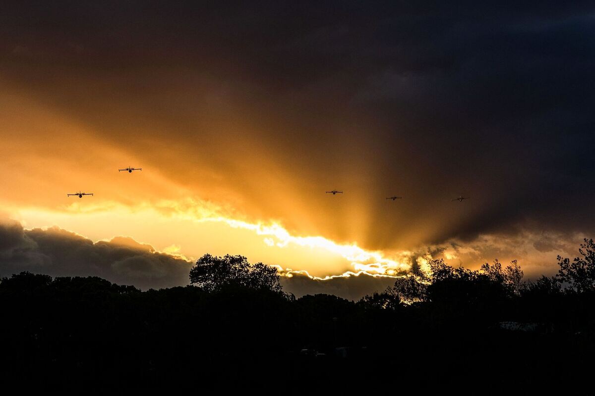 Waldbrände in Südfrankreich