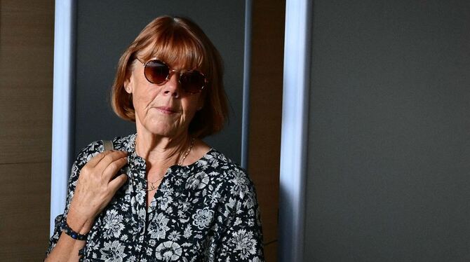 Missbrauchsprozess in Avignon