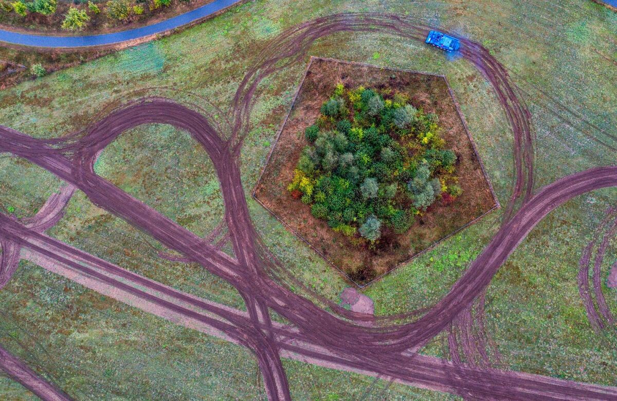 Bergepanzer soll für besseren Artenschutz sorgen