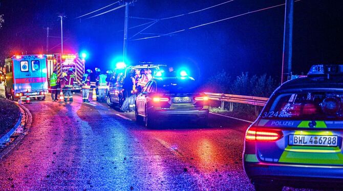 Zwei Kinder sterben bei Autounfall Zwei Kinder sterben bei Autounfall