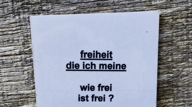 Verse an der Lauter Die Verse werfen Fragen auf, über die sich beim Wandern trefflich nachdenken lässt.