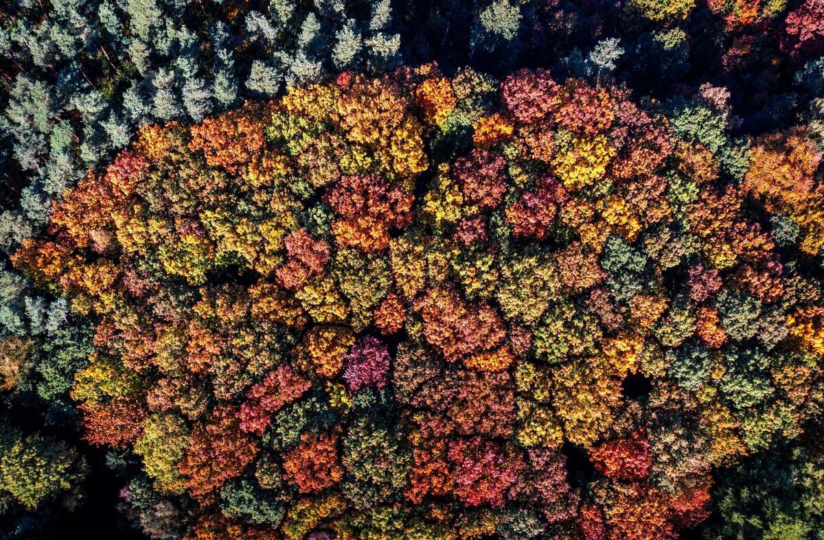 Herbst in Norddeutschland Herbst in Norddeutschland