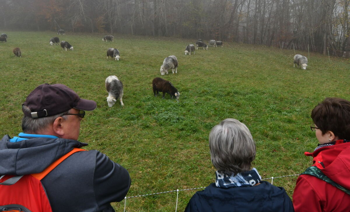 Schön und gut 31 10 24 FOTOS JÜRGEN MEYER_01