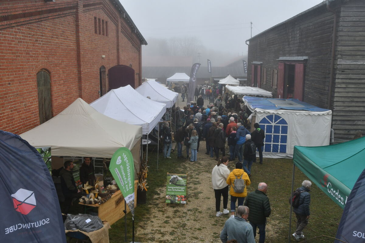 Schön und gut 31 10 24 FOTOS JÜRGEN MEYER_02