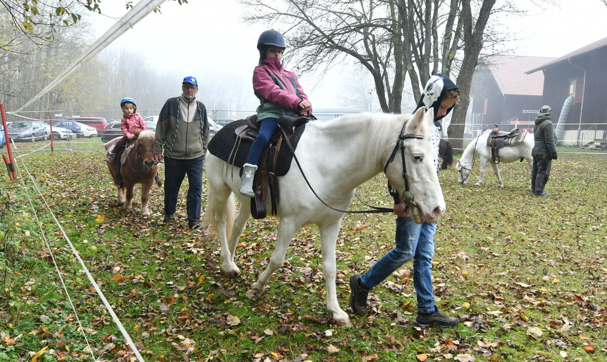 Schön und gut 31 10 24 FOTOS JÜRGEN MEYER_36