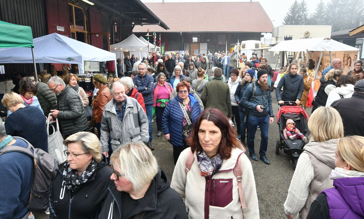 Schön und gut 31 10 24 FOTOS JÜRGEN MEYER_38