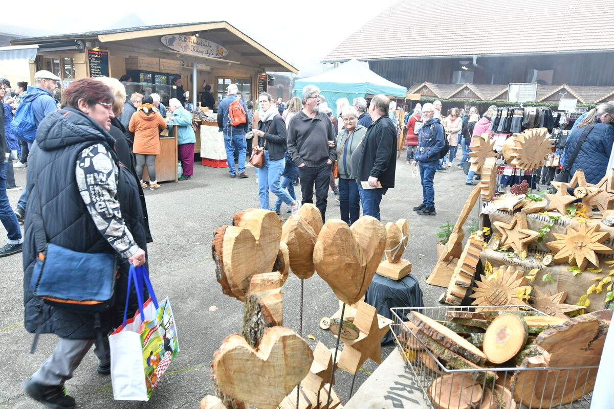 Schön und gut 31 10 24 FOTOS JÜRGEN MEYER_45