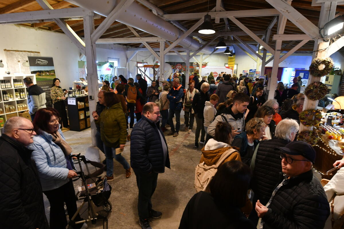 Schön und gut 31 10 24 FOTOS JÜRGEN MEYER_50