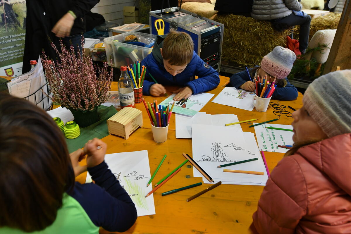 Schön und gut 31 10 24 FOTOS JÜRGEN MEYER_54