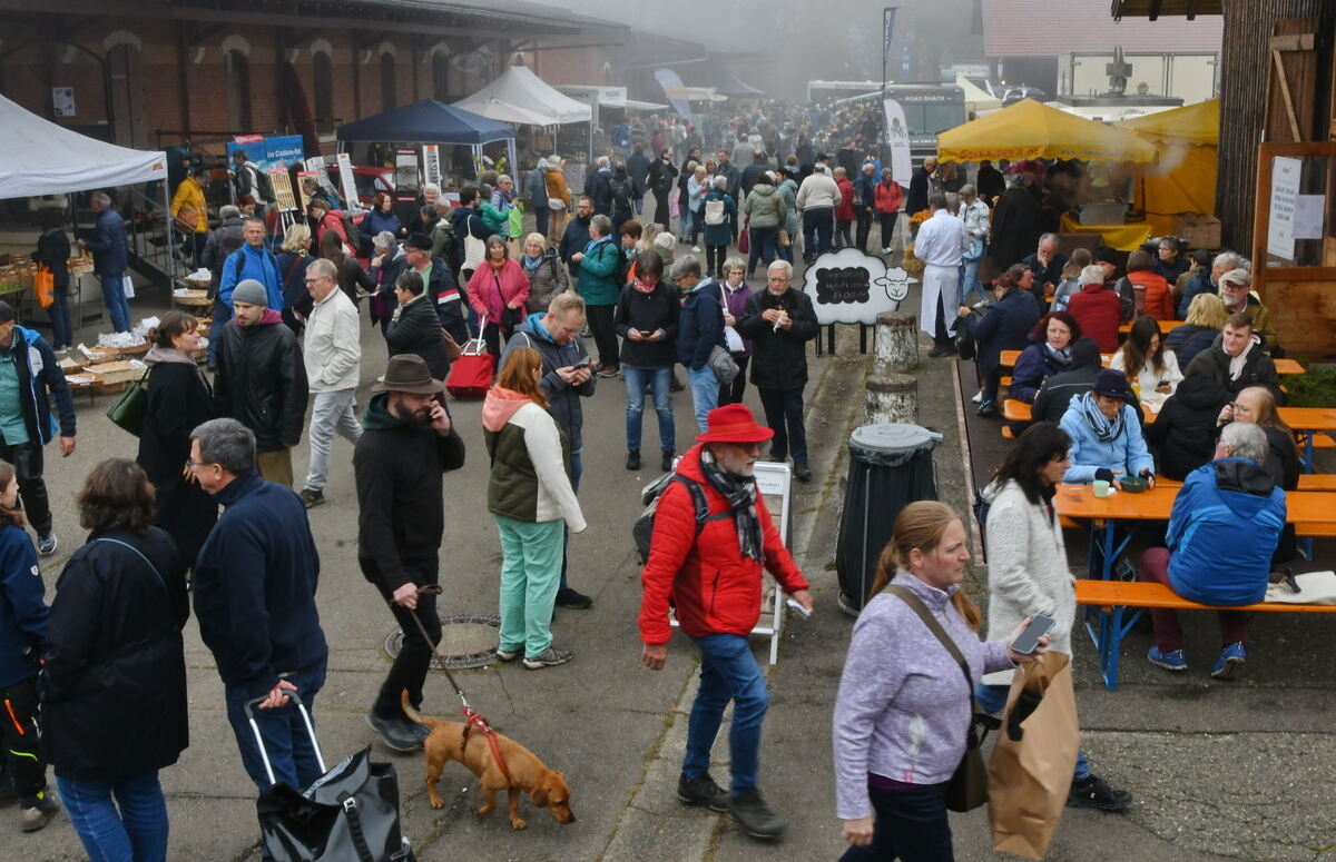 Schön und gut 31 10 24 FOTOS JÜRGEN MEYER_58