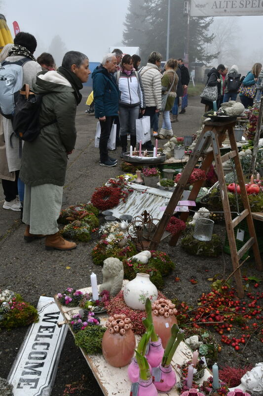 Schön und gut 31 10 24 FOTOS JÜRGEN MEYER_60