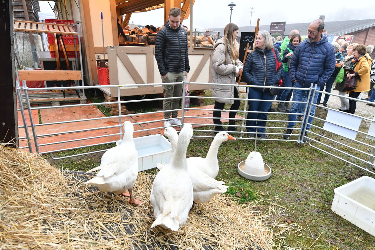 Schön und gut 31 10 24 FOTOS JÜRGEN MEYER_66