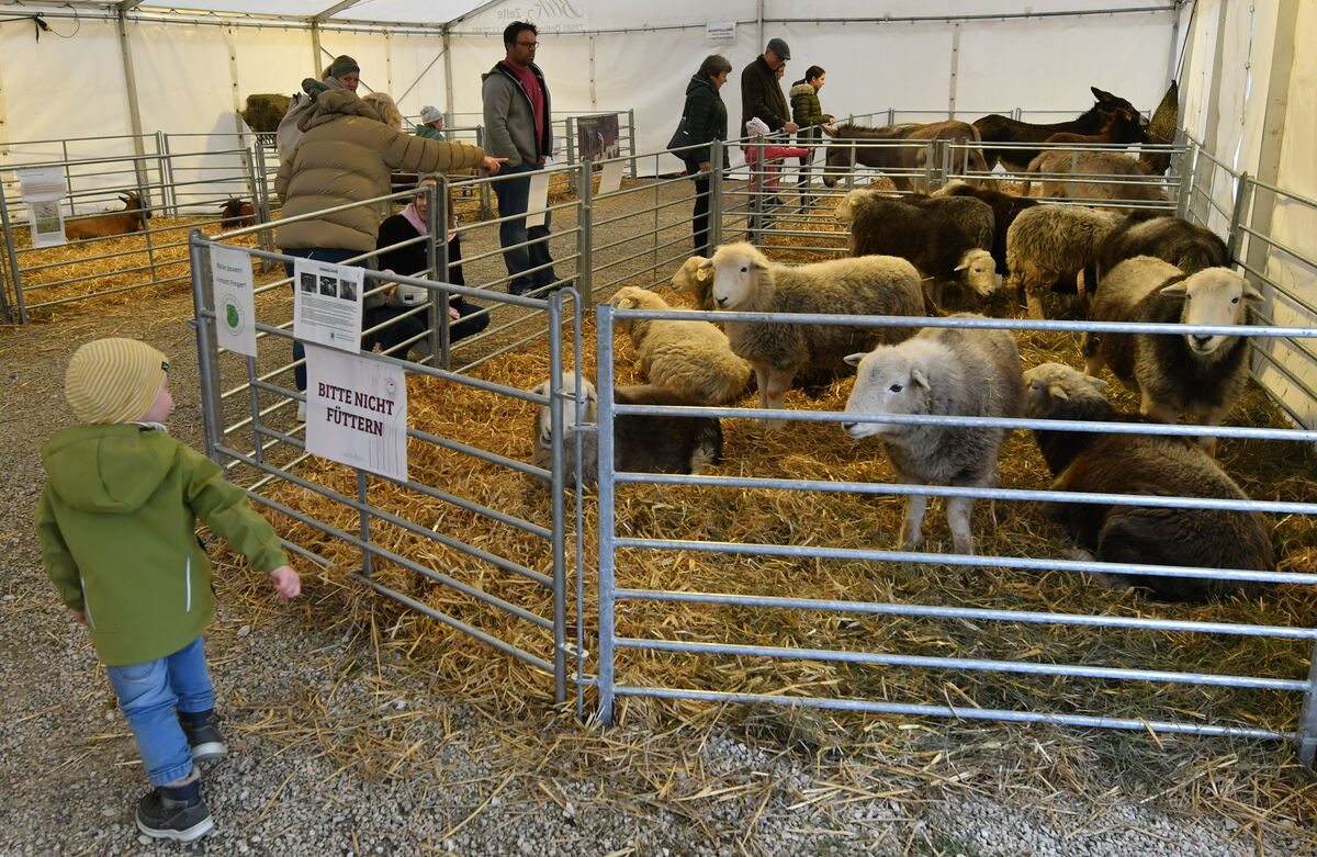 Schön und gut 31 10 24 FOTOS JÜRGEN MEYER_70