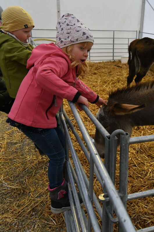 Schön und gut 31 10 24 FOTOS JÜRGEN MEYER_71