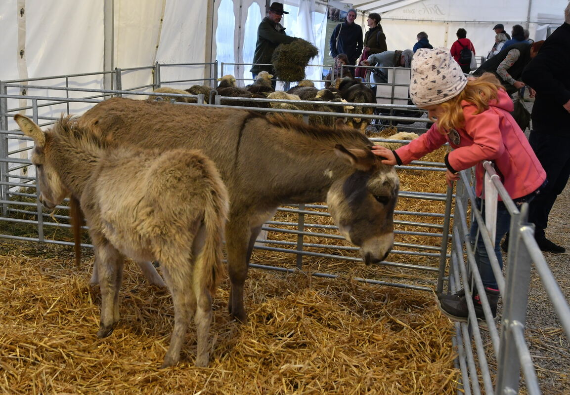 Schön und gut 31 10 24 FOTOS JÜRGEN MEYER_73