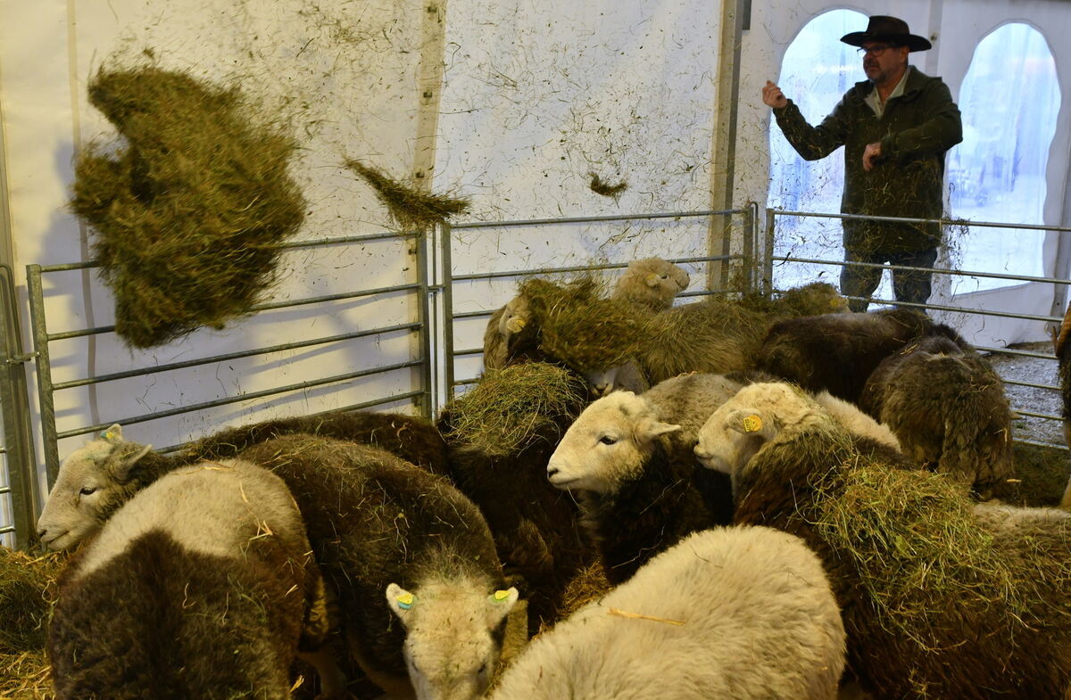 Schön und gut 31 10 24 FOTOS JÜRGEN MEYER_74