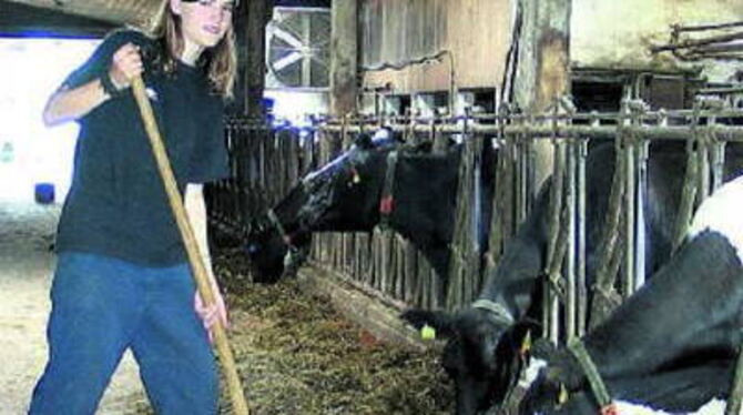 Auch das Versorgen der Kühe gehörte zu den Aufgaben von Manuela.
FOTO: PR
