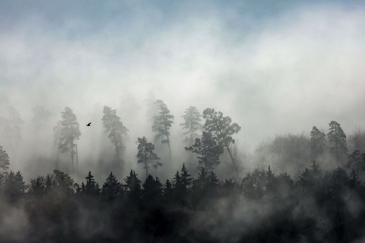 Wetter in Baden-Württemberg