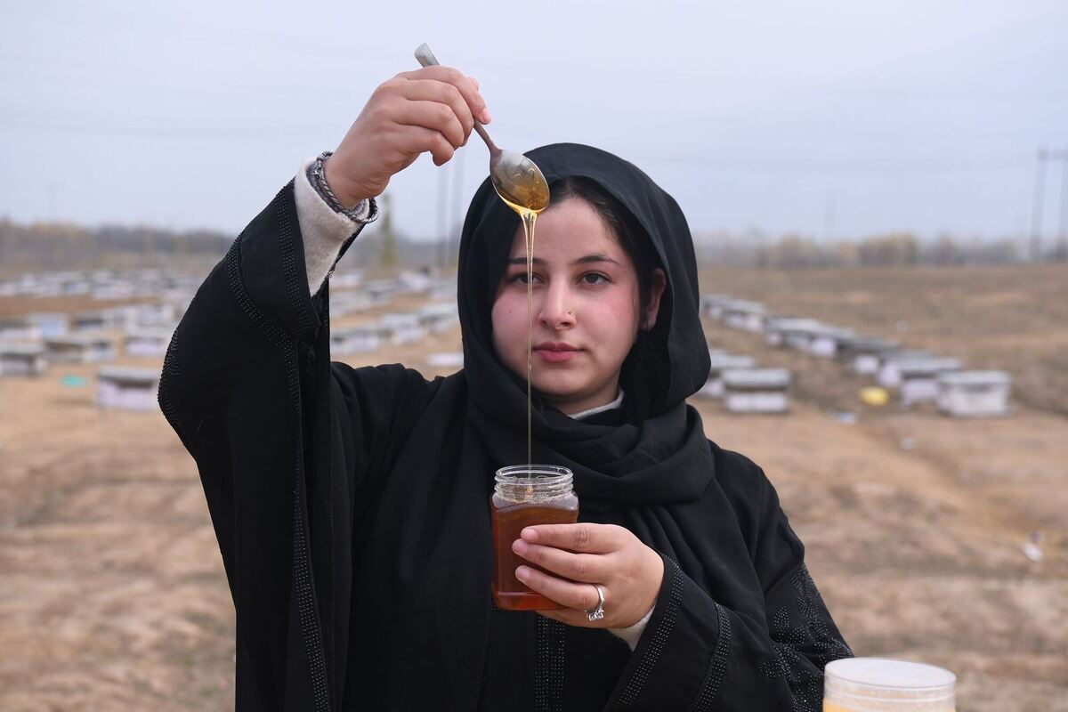 Kaschmirs erste Imkerin Kaschmirs erste Imkerin