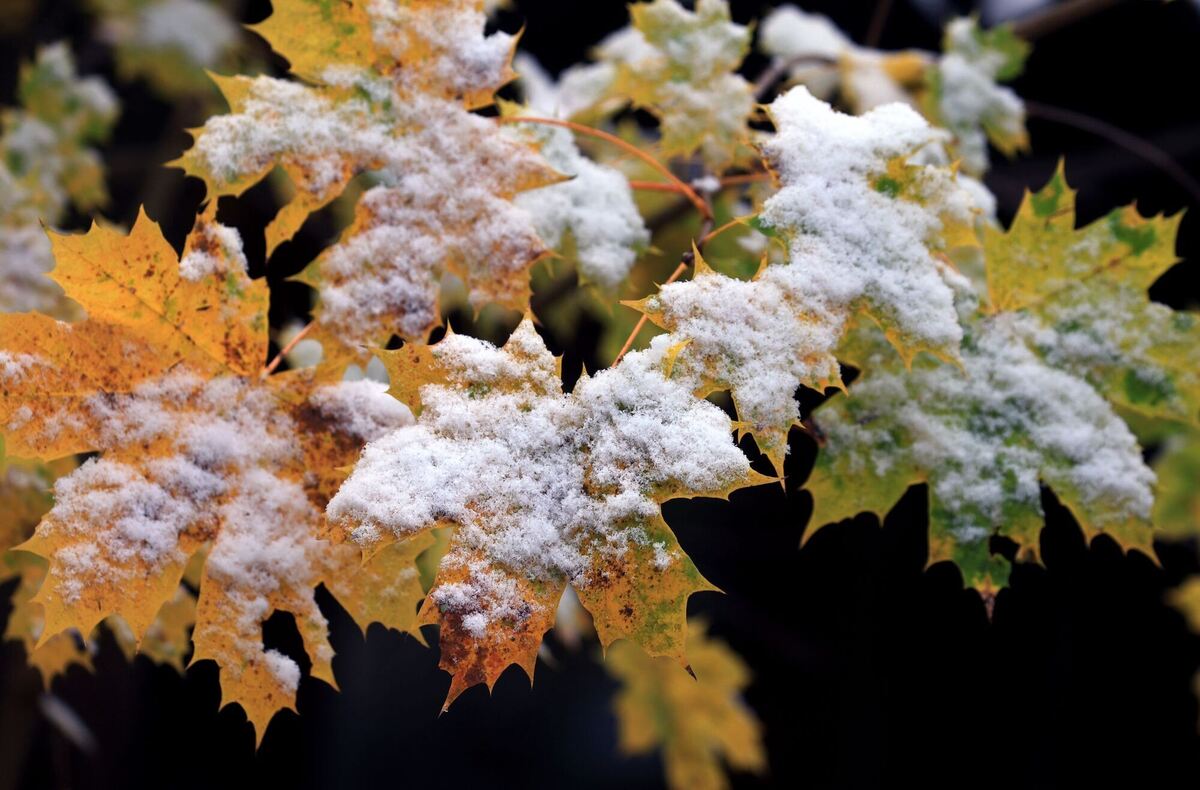 Schnee im Voralpenland