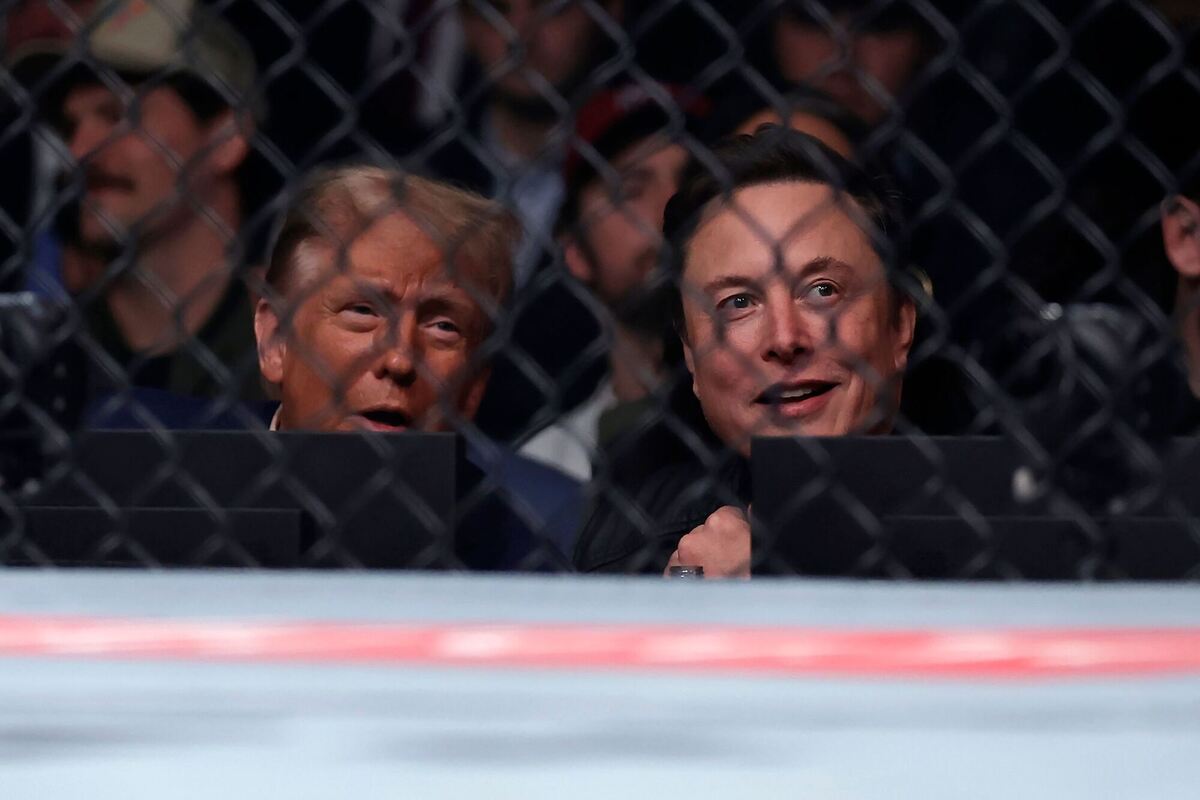 Trump bei UFC-Kampf