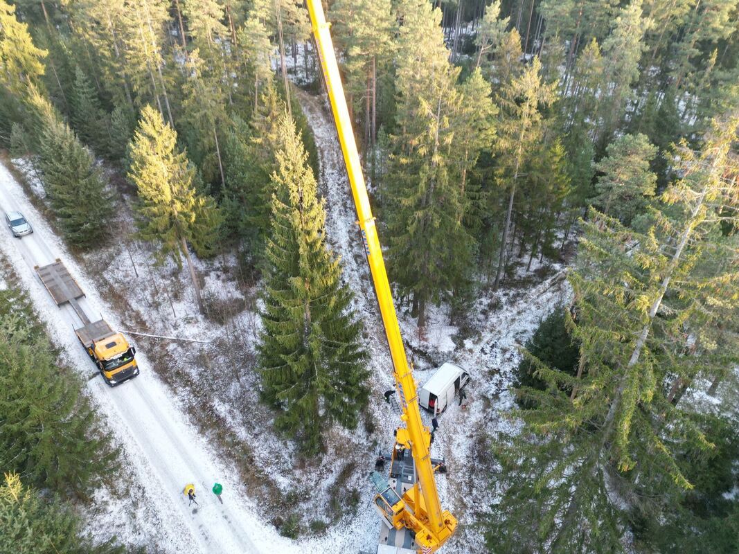 Fällen der 20 Meter hohen Fichte für das Brandenburger Tor Fällen der 20 Meter hohen Fichte für das Brandenburger Tor