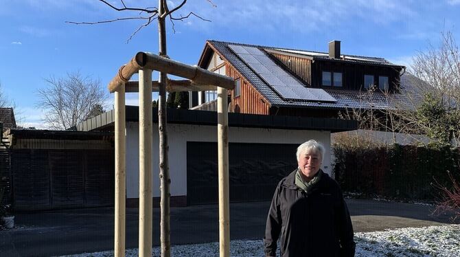 Friedenslinde Mähringen Susanne Bailer hatte die Idee, eine neue Friedenslinde zu pflanzen.