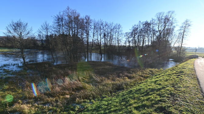 Biber, Kusterdingen, See, Staudamm Mit seinem natürlich angelegten Staudamm hat ein Biber für einen ansehnlichen See vor den Toren von Immenhausen gesorgt.