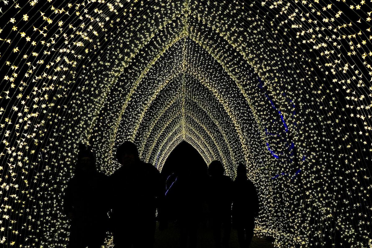 »Winter Cathedral« in Chicago »Winter Cathedral« in Chicago