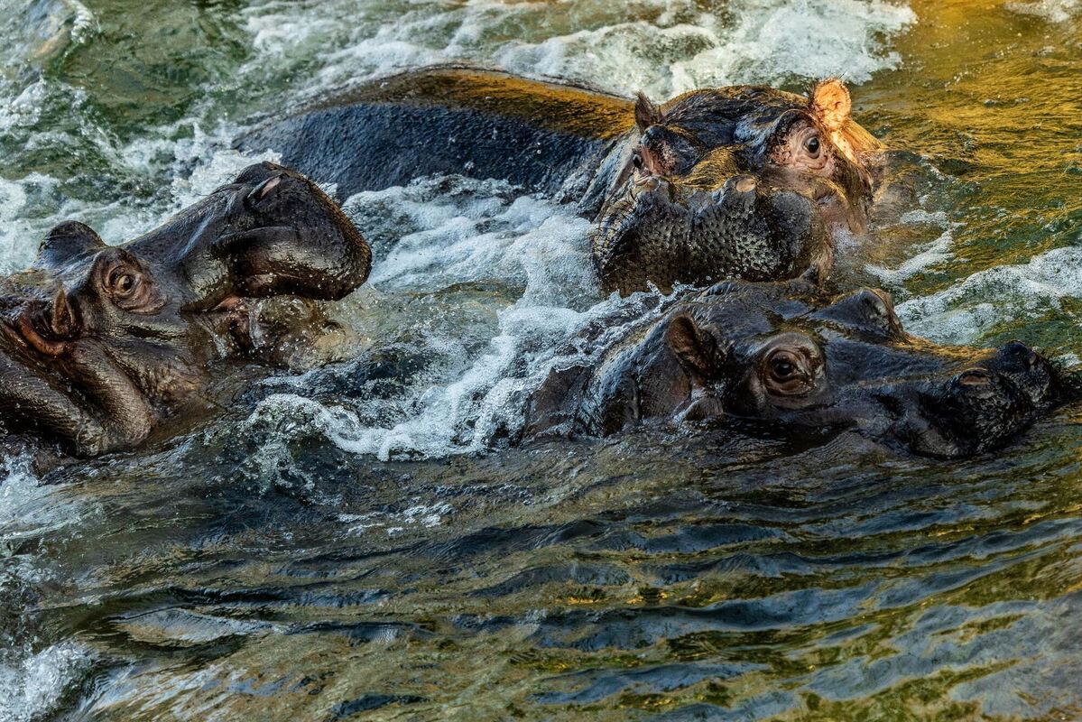 Impressionen aus dem Zoo