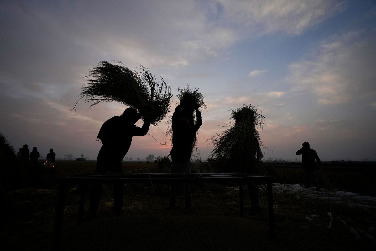 Lanfwirtschaft in Indien