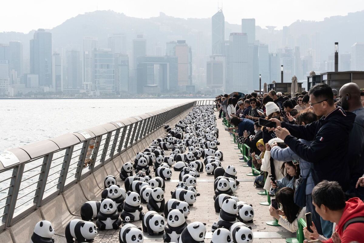 Pandabär-Skulpturen in Hongkong Pandabär-Skulpturen in Hongkong