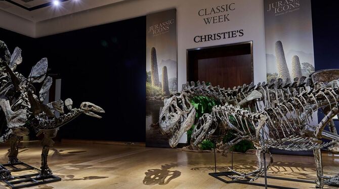 Dinosaurier-Modelle Allosaurus und Stegosaurus bei Christie's Dinosaurier-Modelle Allosaurus und Stegosaurus bei Christie's