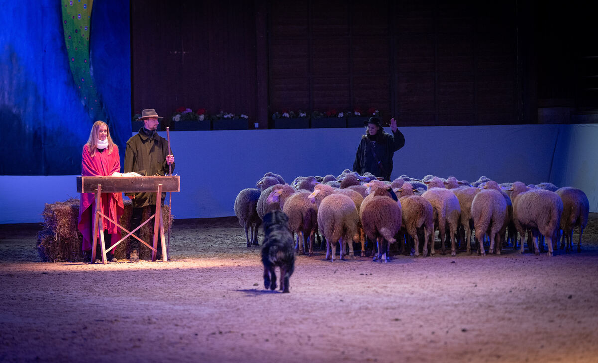 Lebende_Bilder_Marbach_15_12_2024_Schanz_003