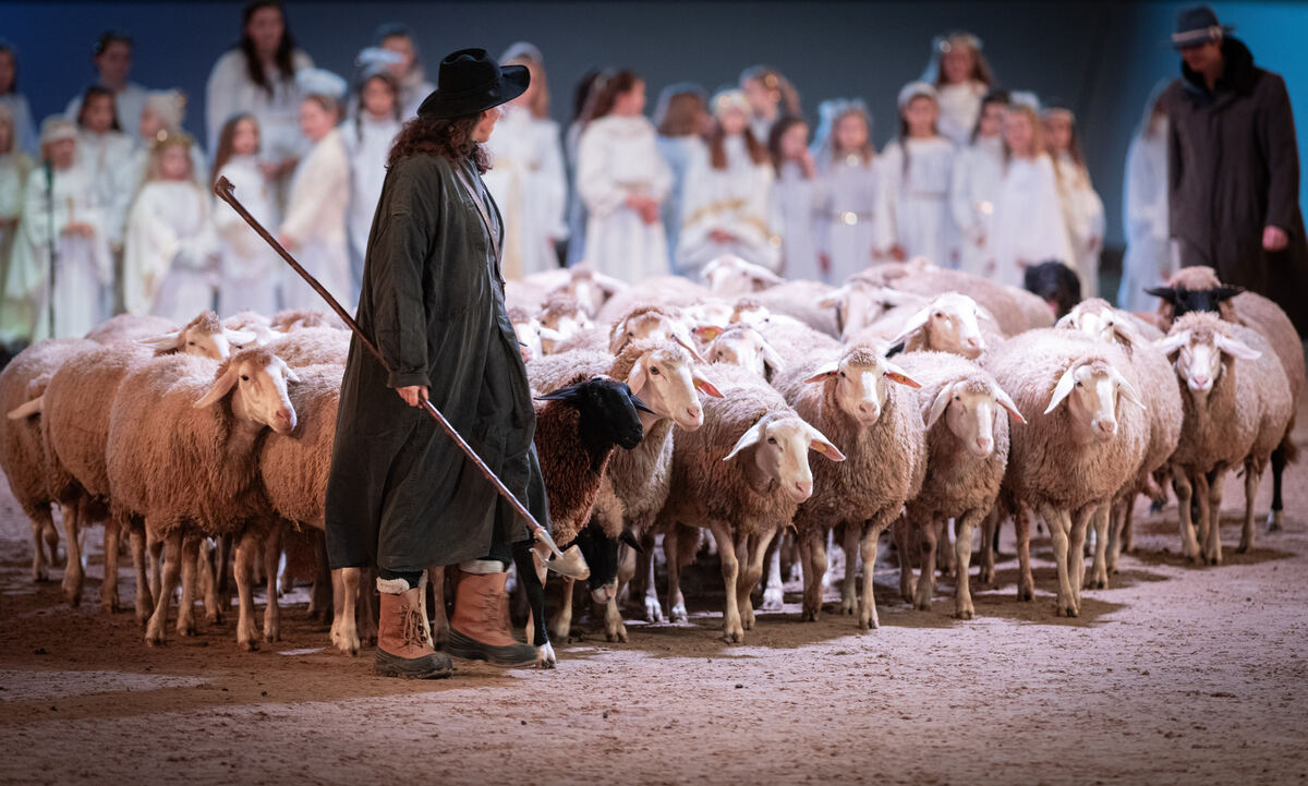 Lebende_Bilder_Marbach_15_12_2024_Schanz_018