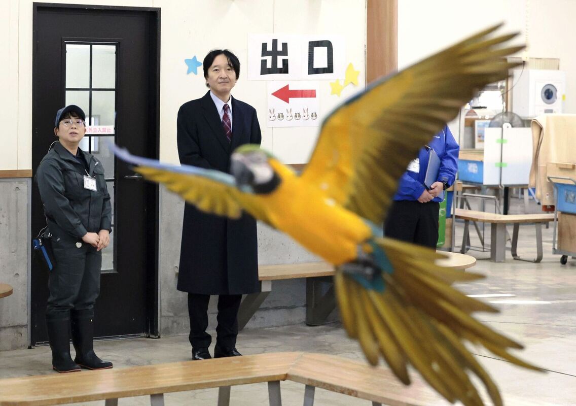 Japans Kronprinz besucht Zoo