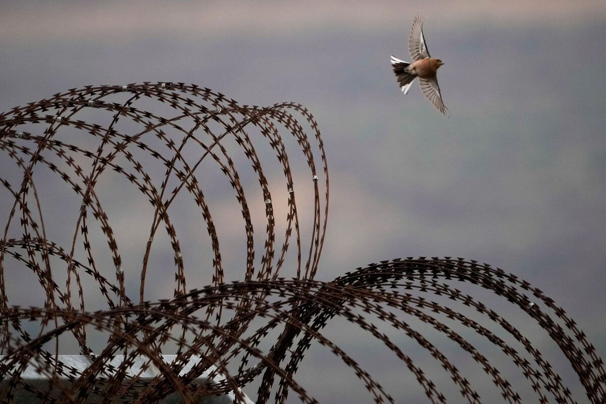 Konflikt in Syrien - Israel Konflikt in Syrien - Israel