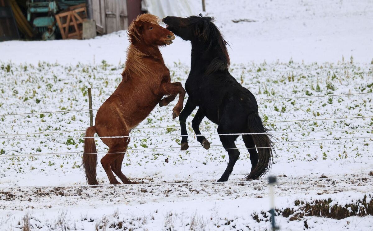 Schnee an Heiligabend