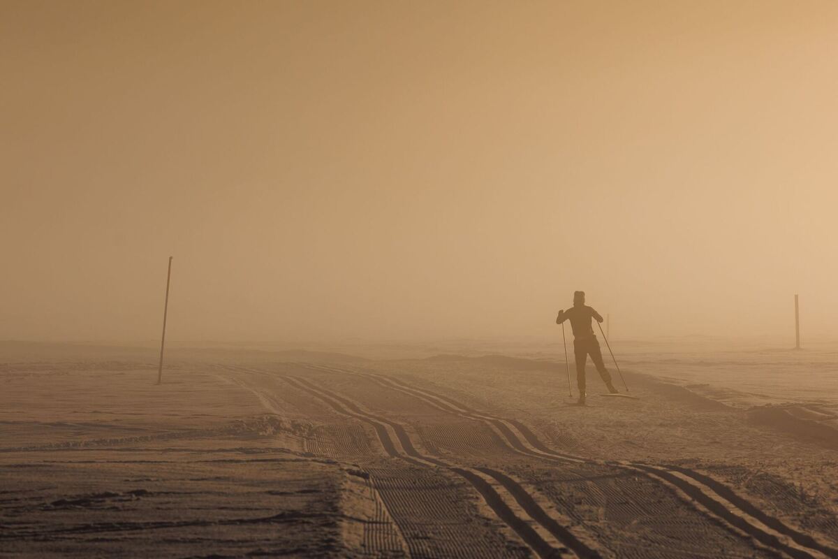 Langläufer in der Abendsonne Langläufer in der Abendsonne