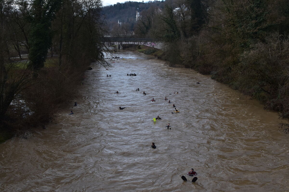 Neckarabschwimmen 6 1 25  FOTO JÜRGEN MEYER_22