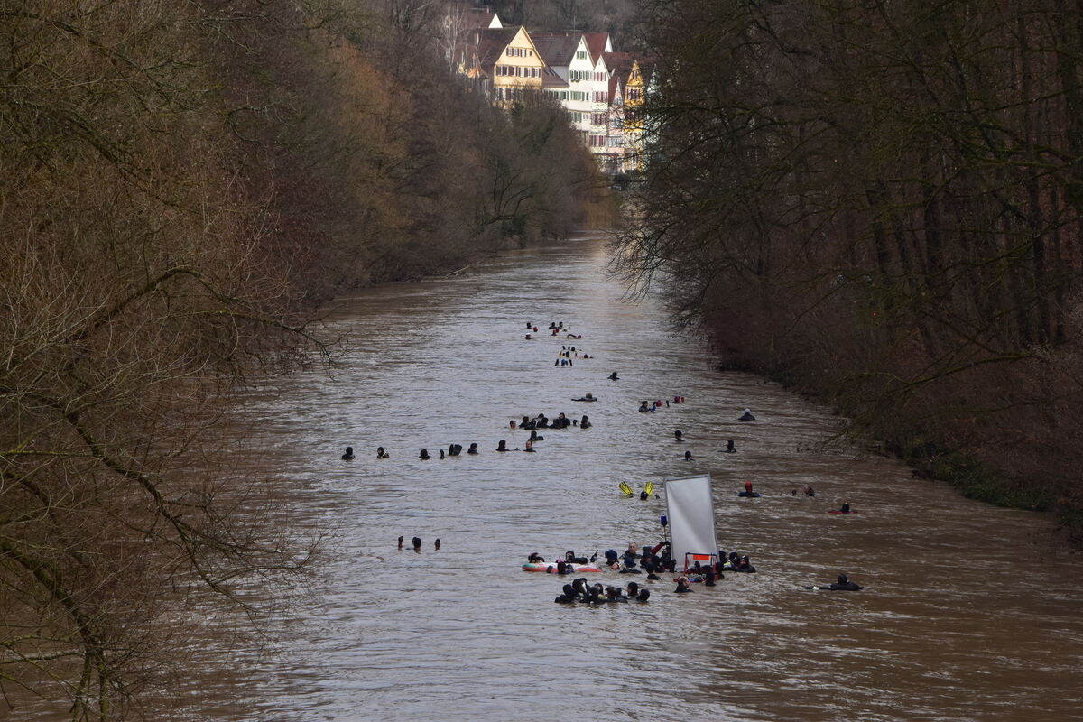 Neckarabschwimmen 6 1 25  FOTO JÜRGEN MEYER_30