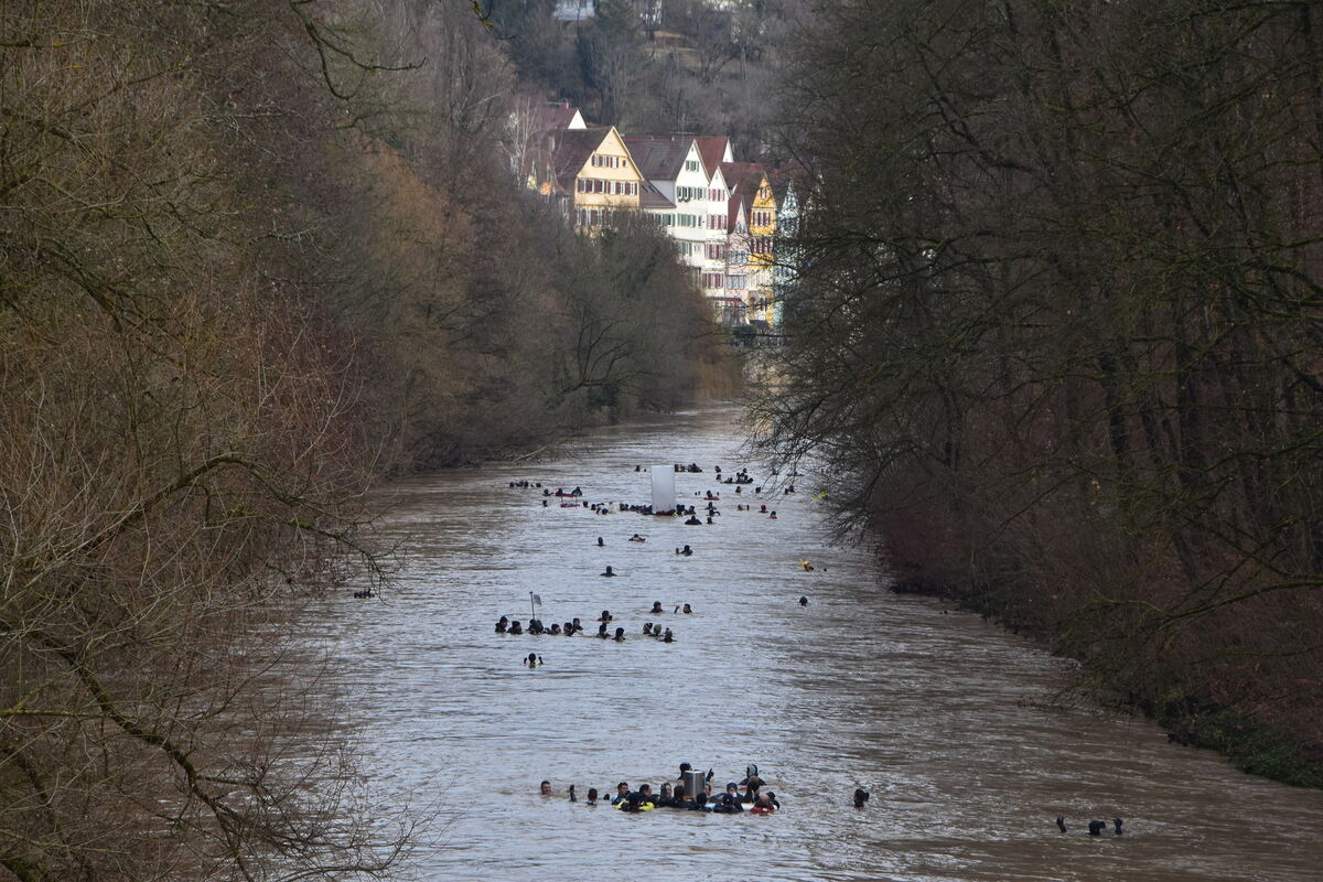 Neckarabschwimmen 6 1 25  FOTO JÜRGEN MEYER_36