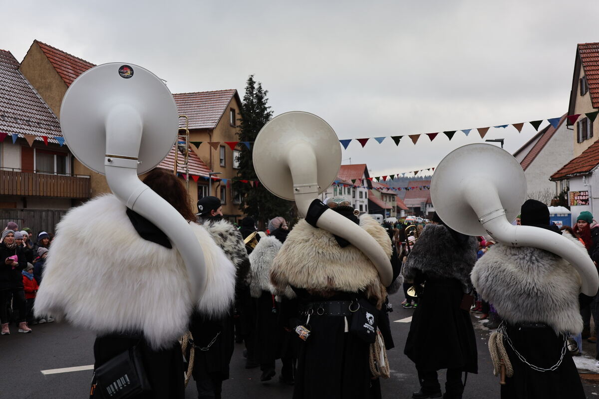 Narrenumzug Würtingen (8)