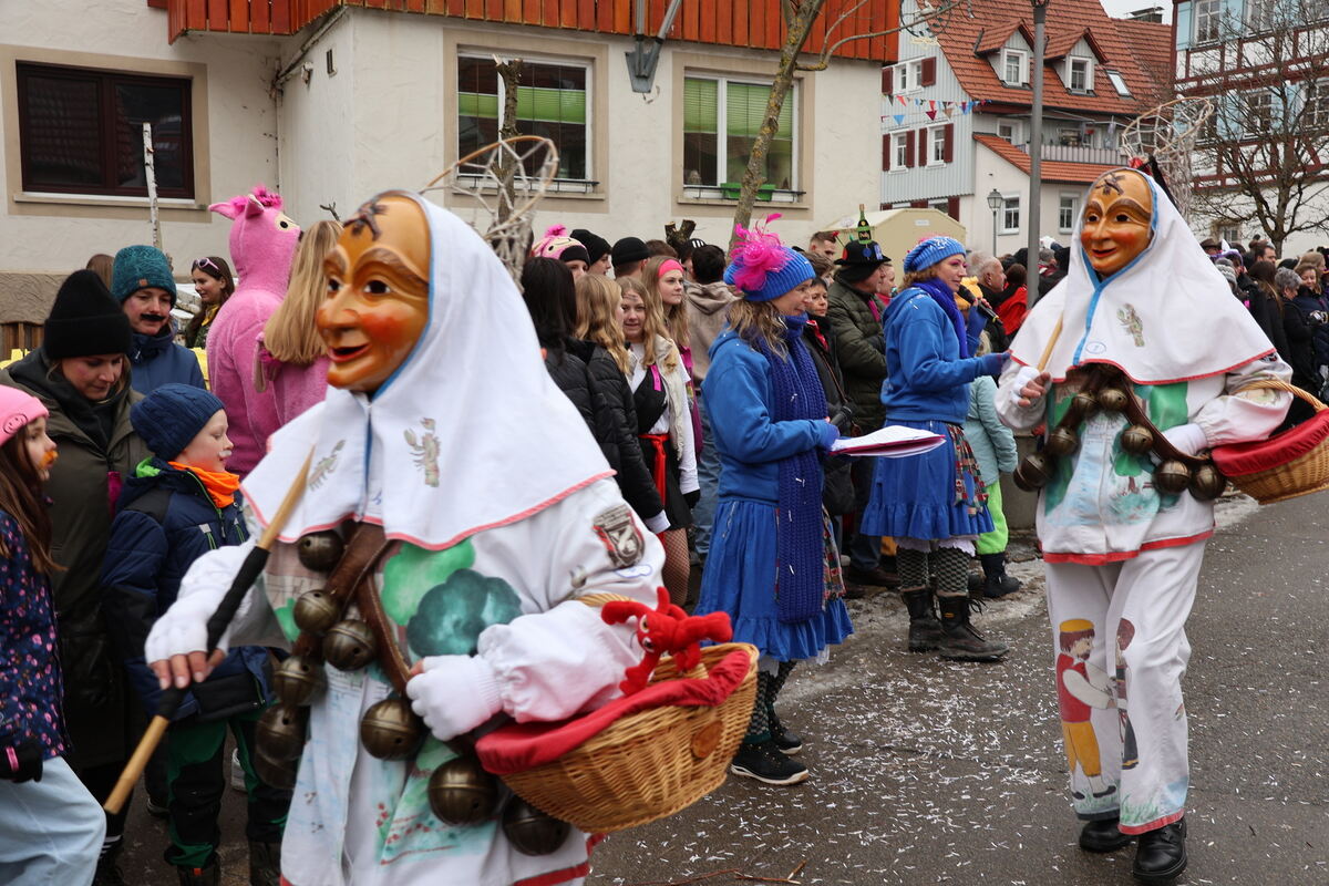 Narrenumzug Würtingen (14)