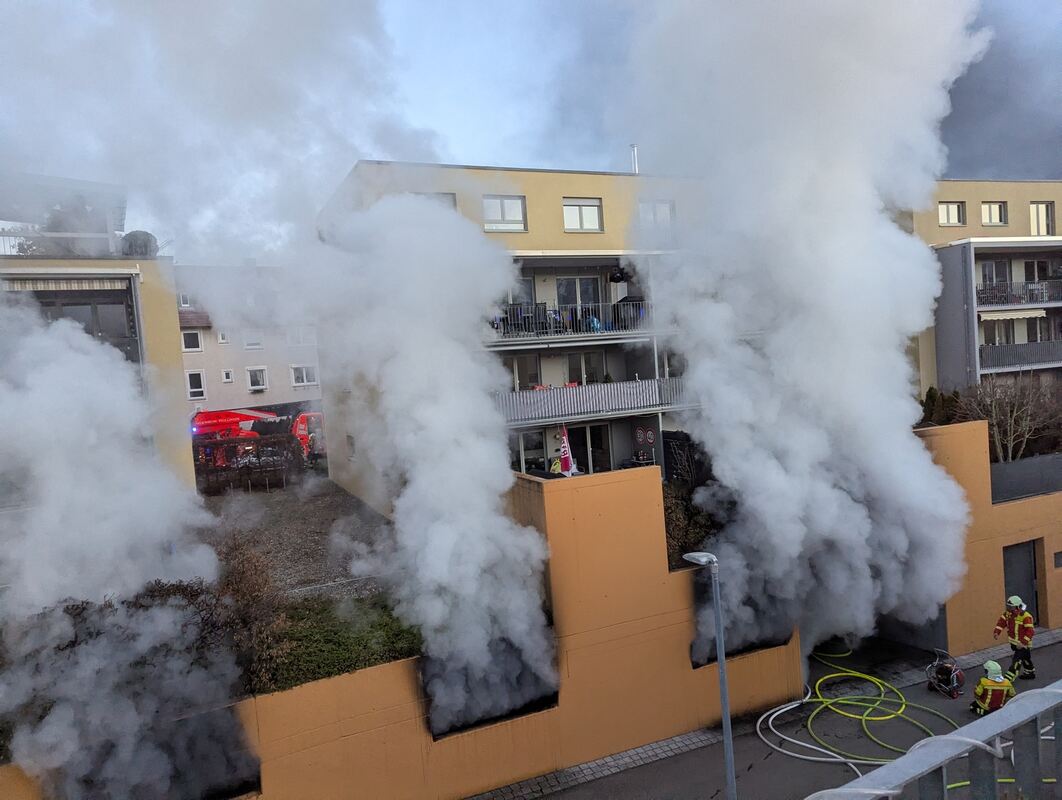 PXL_20250119_155319539